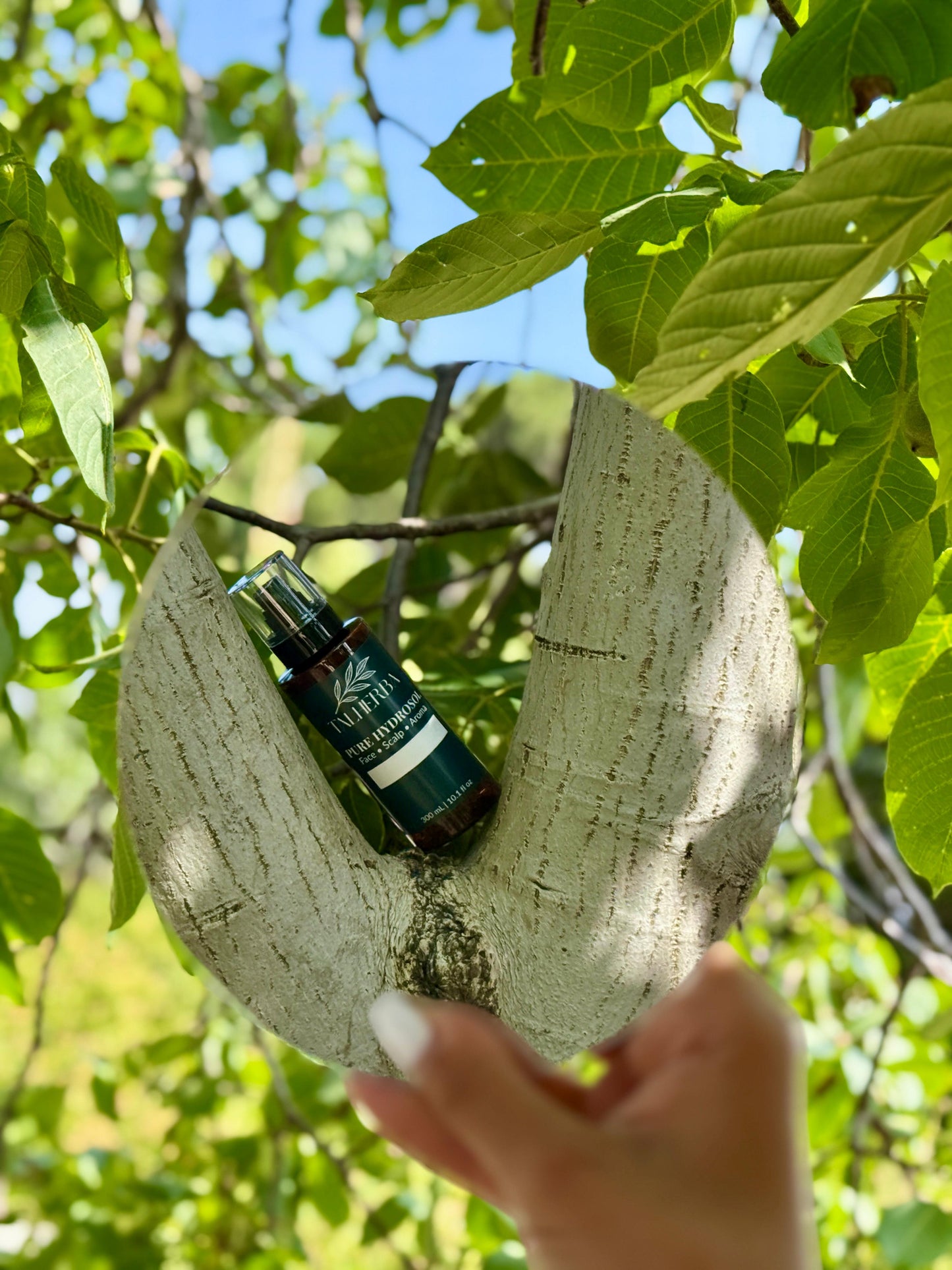 Linden Hydrosol Mist