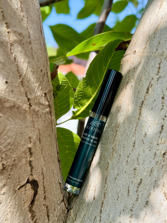 Lash & Brow Botanical Oil