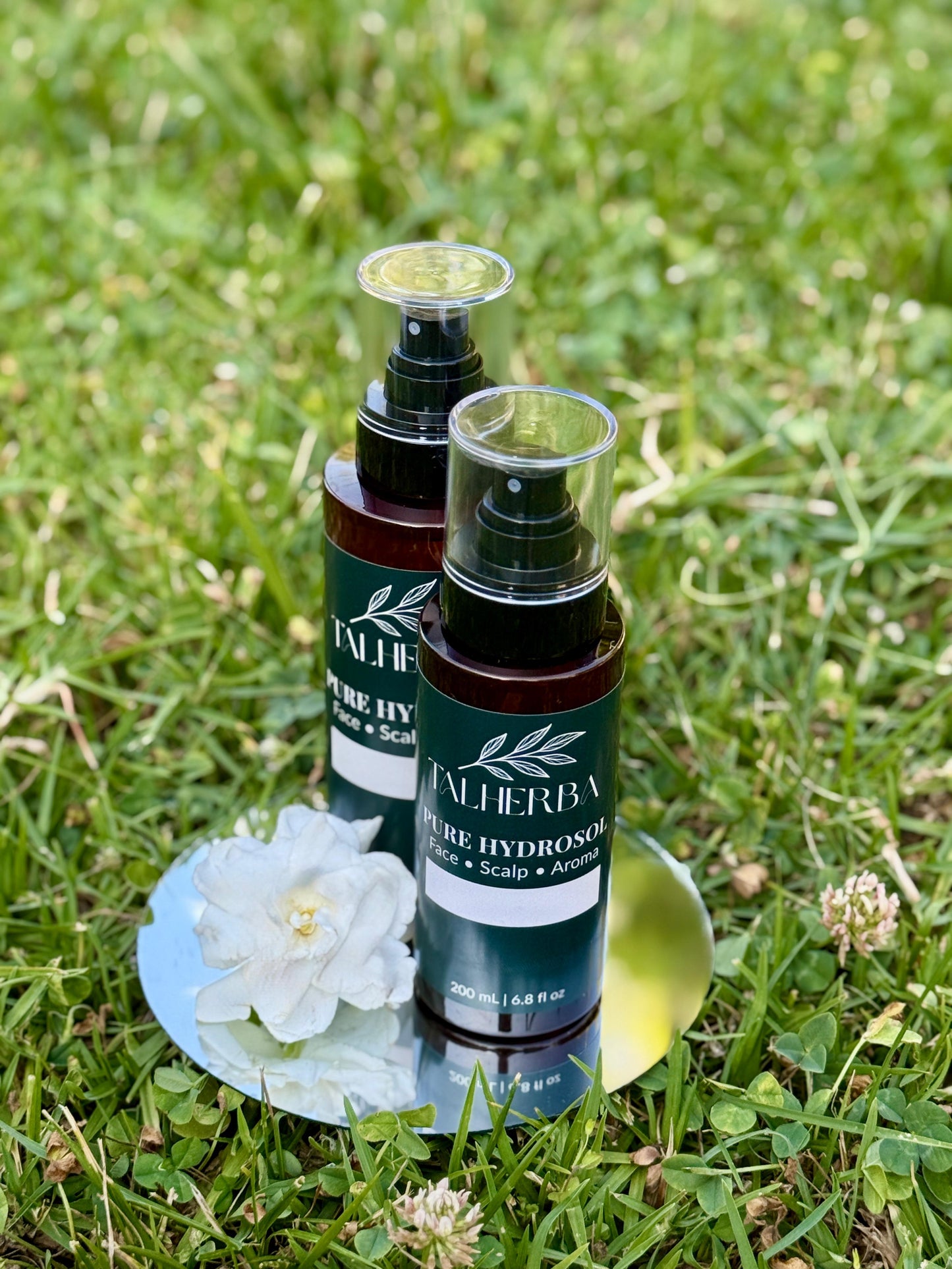 Linden Hydrosol Mist